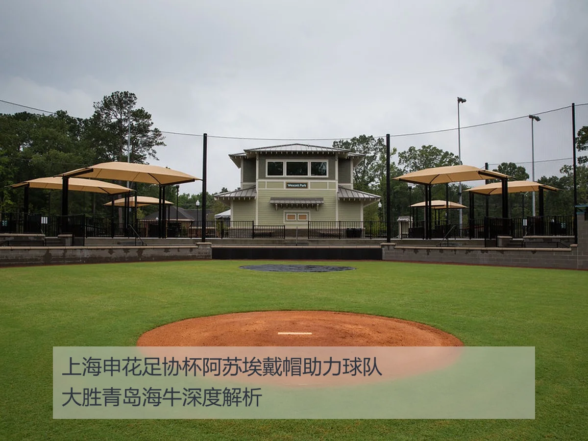 上海申花足协杯阿苏埃戴帽助力球队大胜青岛海牛深度解析